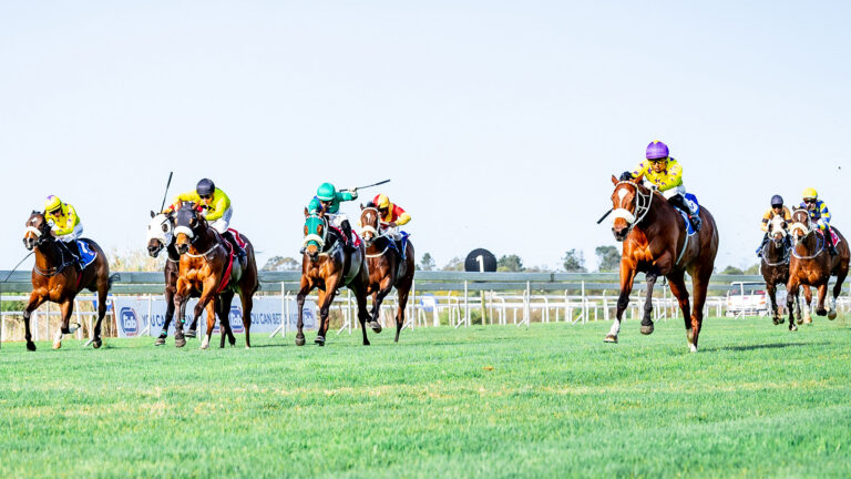 EXCITING REMATCH IN CRADOCK PLACE STAKES