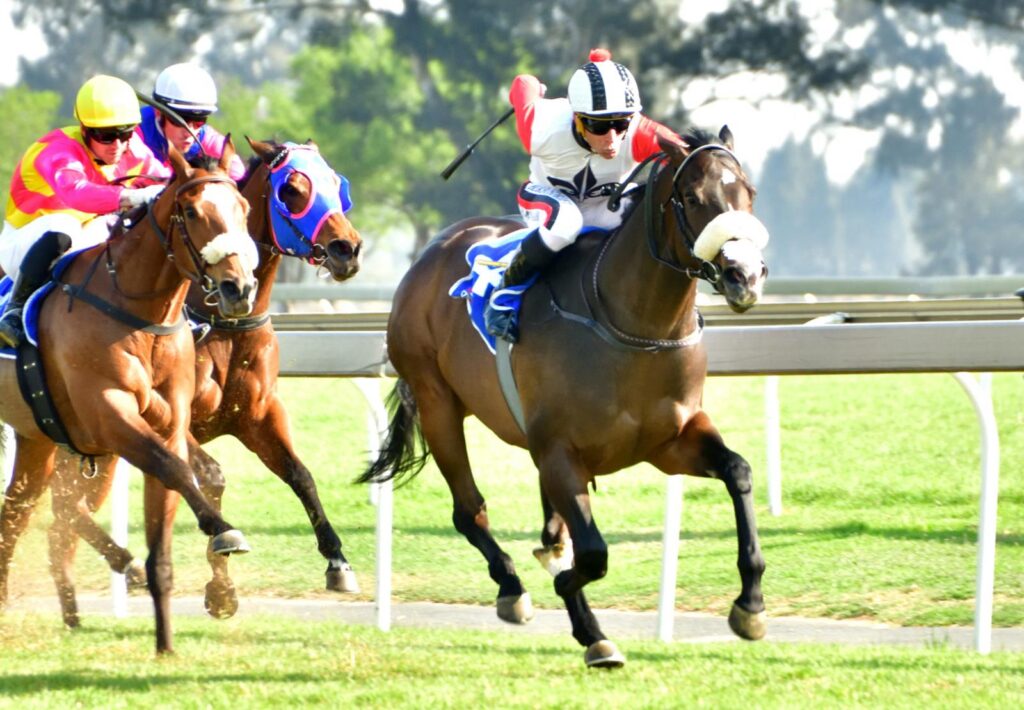 Expect a Cliff Hanger at Turffontein