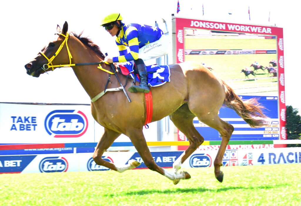 Expect another fantastic run from Mr Fox