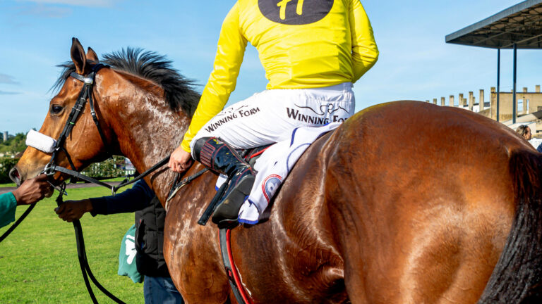 EYES ON FAIRY KNIGHT