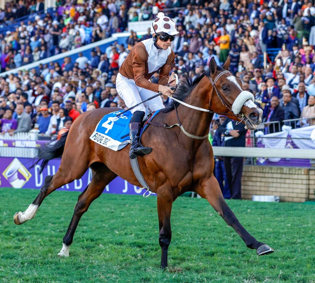 Fab fields for Gold Cup meeting