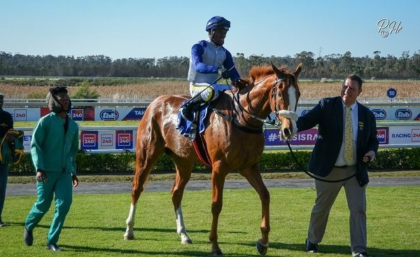Fairview: Grazing On The Poly