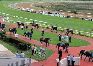 Fairview meeting abandoned