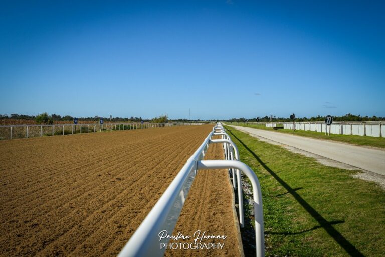 Fairview moved to Poly from Race 3