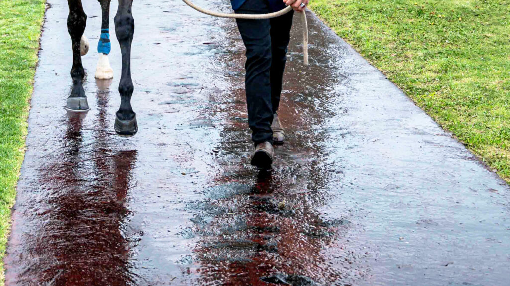 Fairview moved to Polytrack