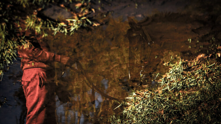 Fairview – Onto the POLY