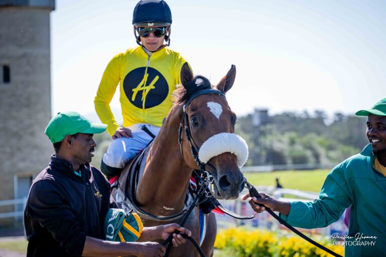 Fairy Knight for Fairview hat-trick