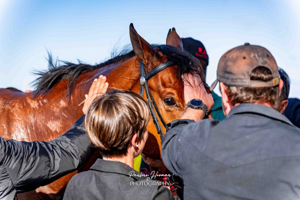 FAIRY KNIGHT IS READY TO FIGHT