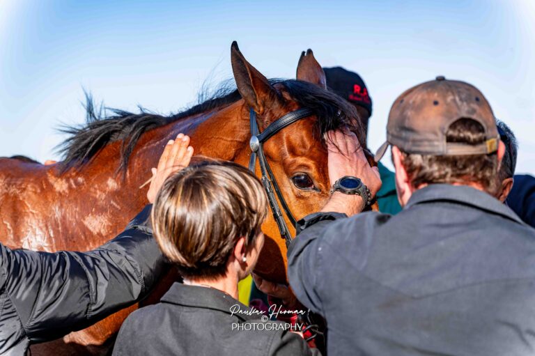 FAIRY KNIGHT IS READY TO FIGHT