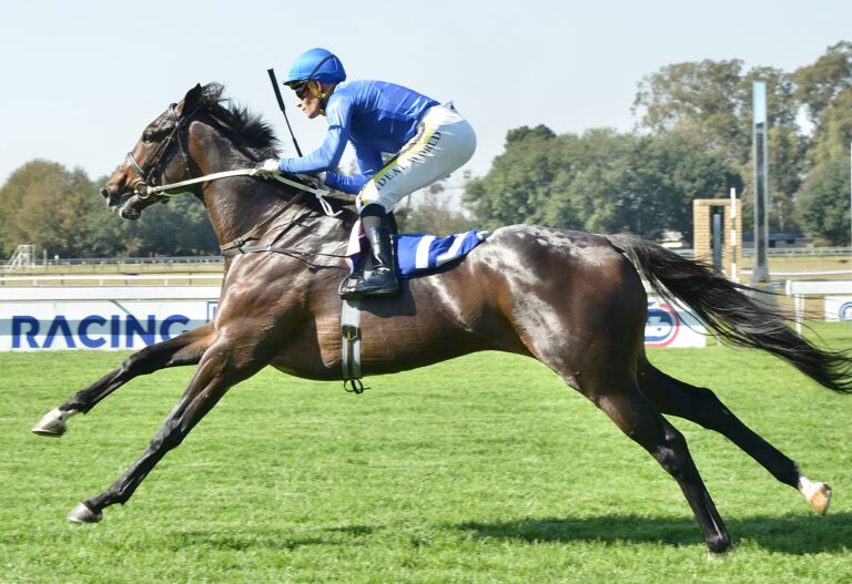 Fastnet Filly set for a Grand Crescendo