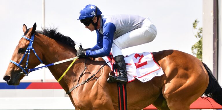 Fatal Flaw set for Fillies Guineas victory