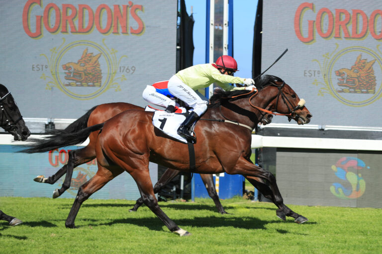 Favourites to fire at Fairview