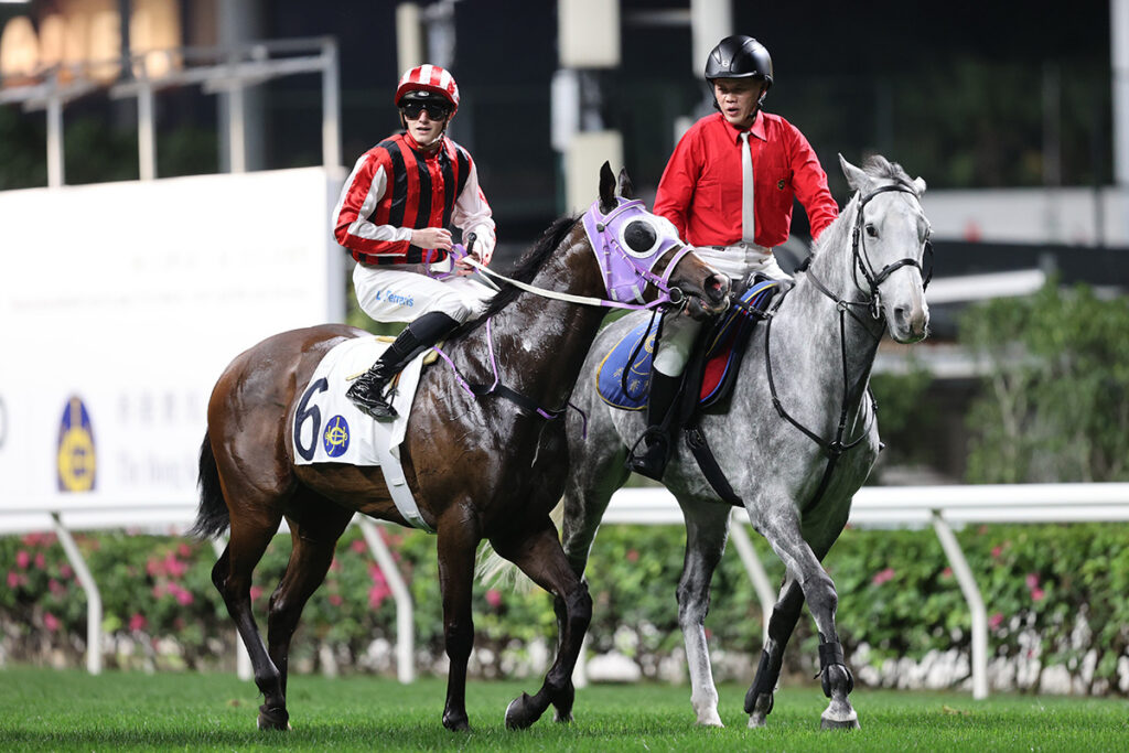 Ferraris aiming for 30 Hong Kong winners