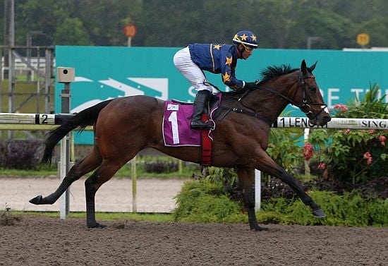 Field size suits Lim’s Kosciuszko at Kranji