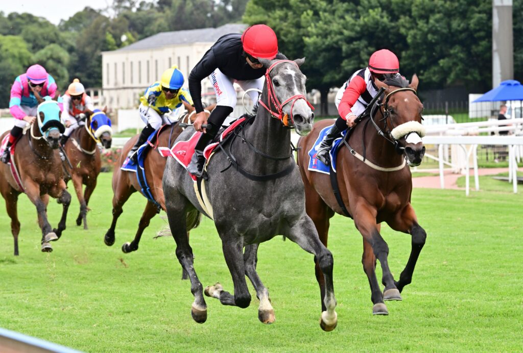 Fillies favoured in Sea Cottage Stakes