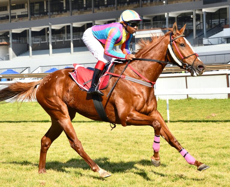 Fillies to lead the way on Women’s Day