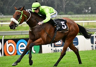 Fillies to win the day