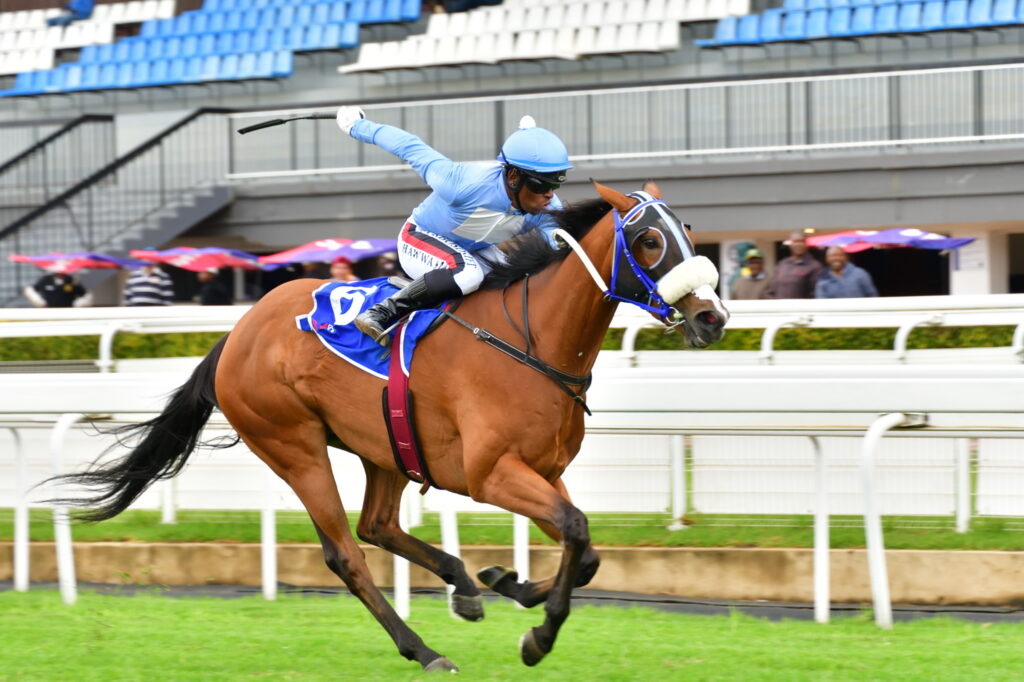 Filly to display Dutch courage in Challenge