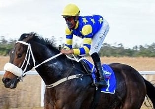 Final fields for Golden Horse Sprint day