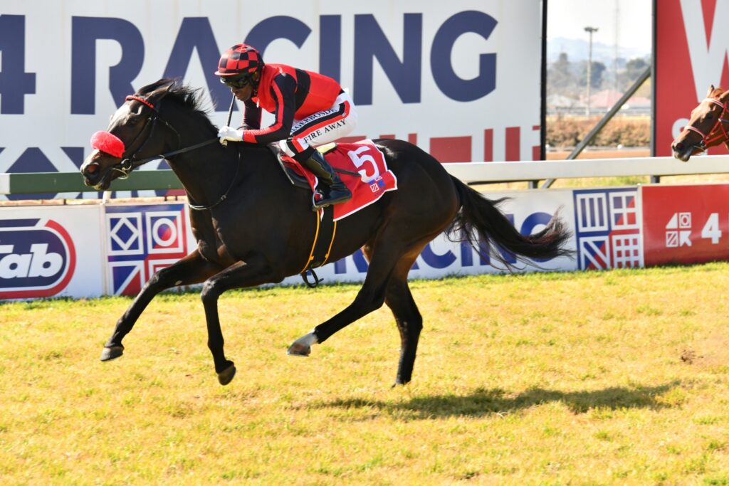 Final fields for Guineas Day