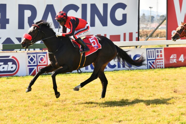 Final fields for Guineas Day