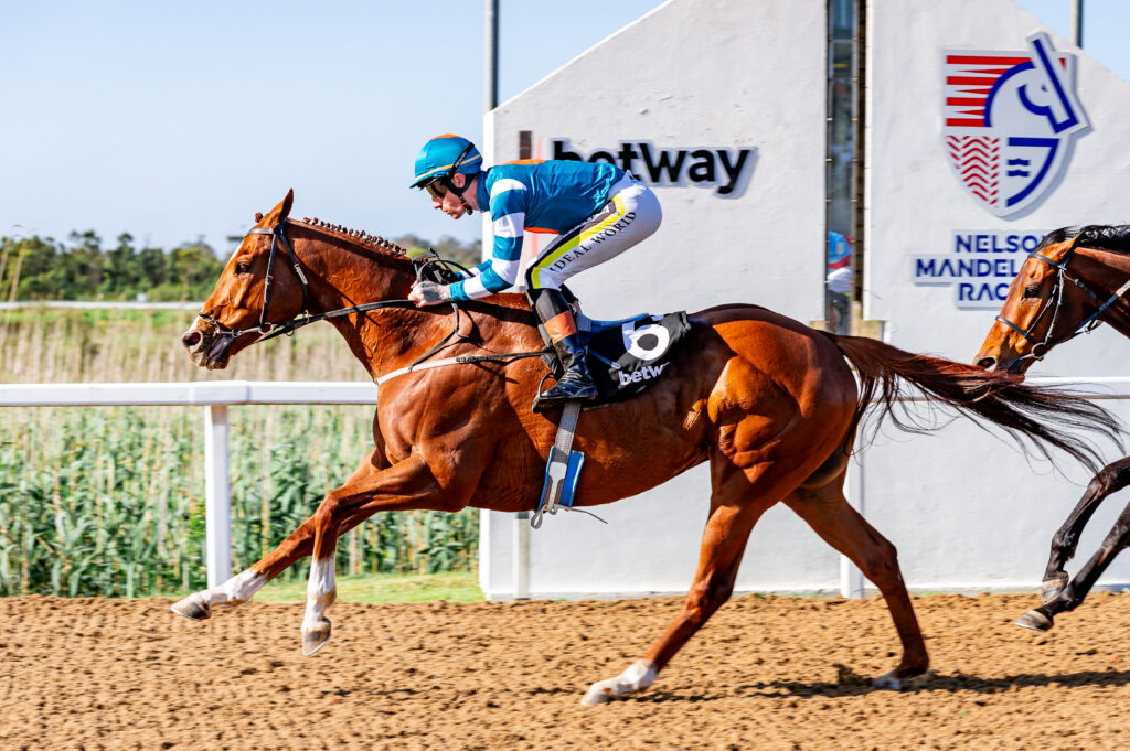 FireAlley seeks second Algoa Cup title