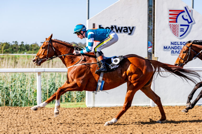 FireAlley seeks second Algoa Cup title