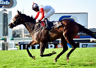 First log for Hollywoodbets Durban July