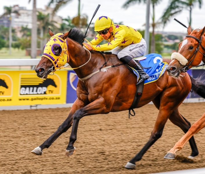 Fish Eagle ready to soar