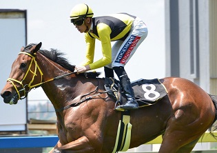 Florentine favoured to flourish