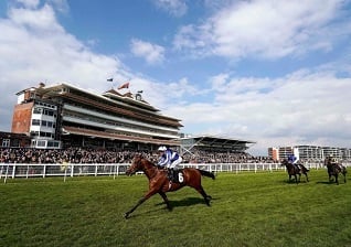 Flowerhead to blossom at Newbury