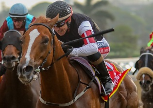 Focus eyes on Marcus