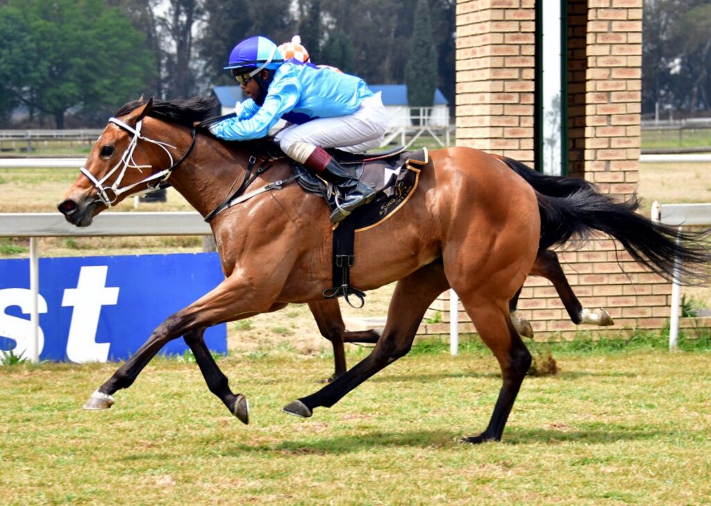 Fortune duo to fight it out