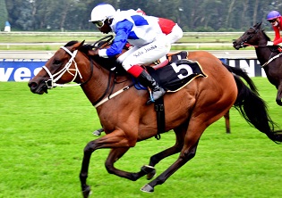 Fortune runner to arrive On Cue