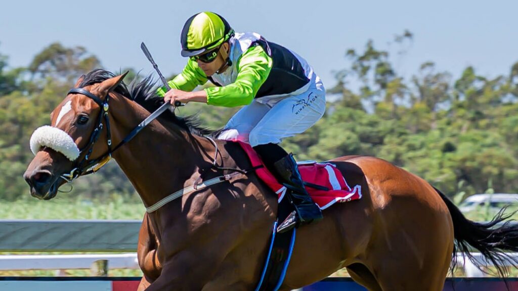 Fourie to fire again at Fairview