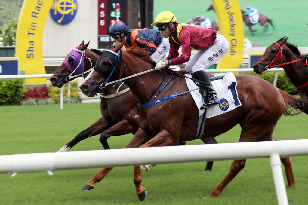 Fownes fancied for big day at Happy Valley