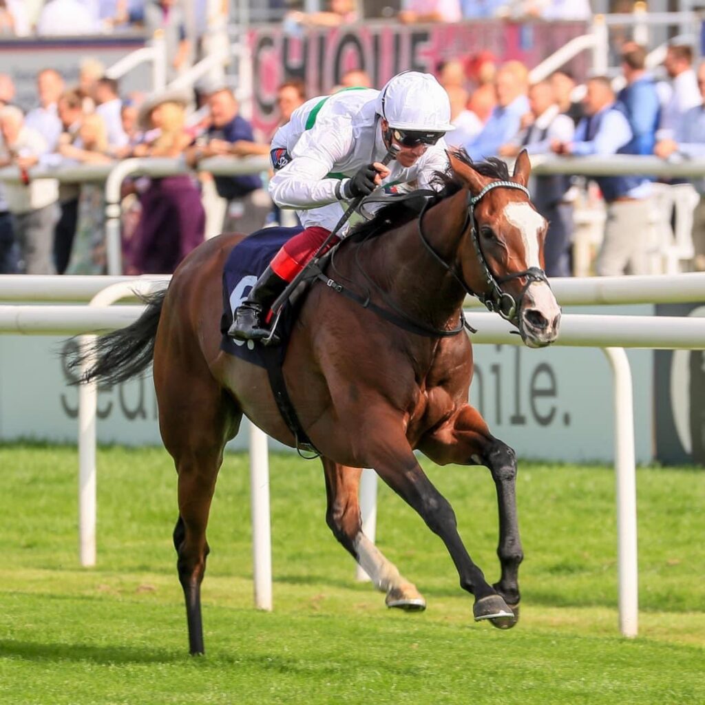 Free Wind Can Blow Goodwood Rivals Into Touch