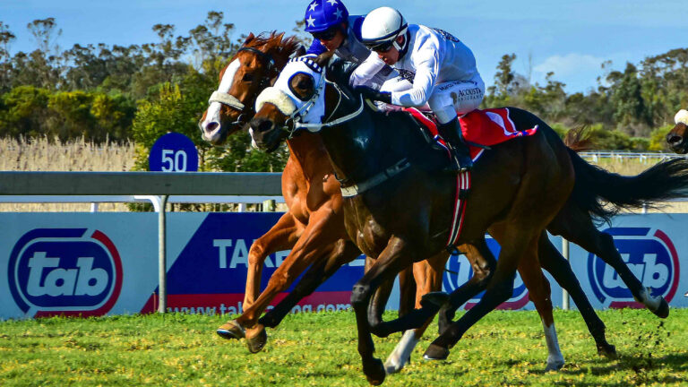 Friendly City Stakes