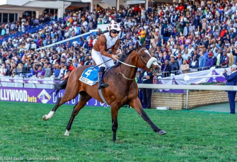 Future Pearl favourite for Gold Cup