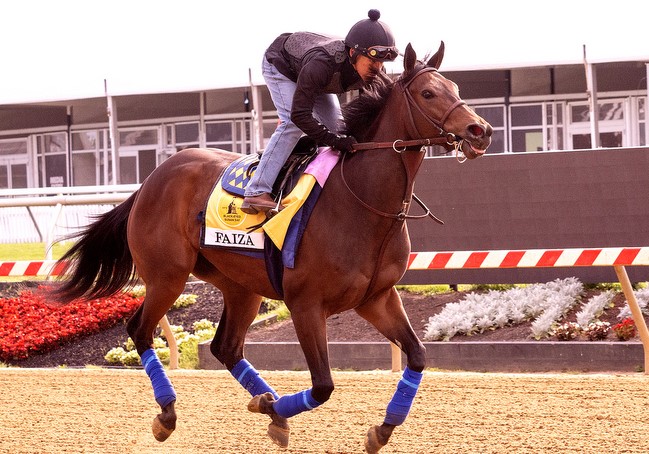 G2 Black-Eyed Susan in US horse-by-horse