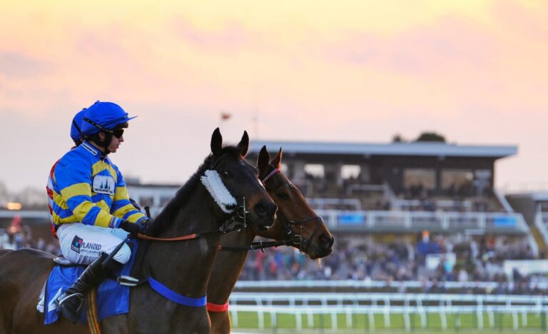 Galia Des Liteaaux can capitalise on drop in class