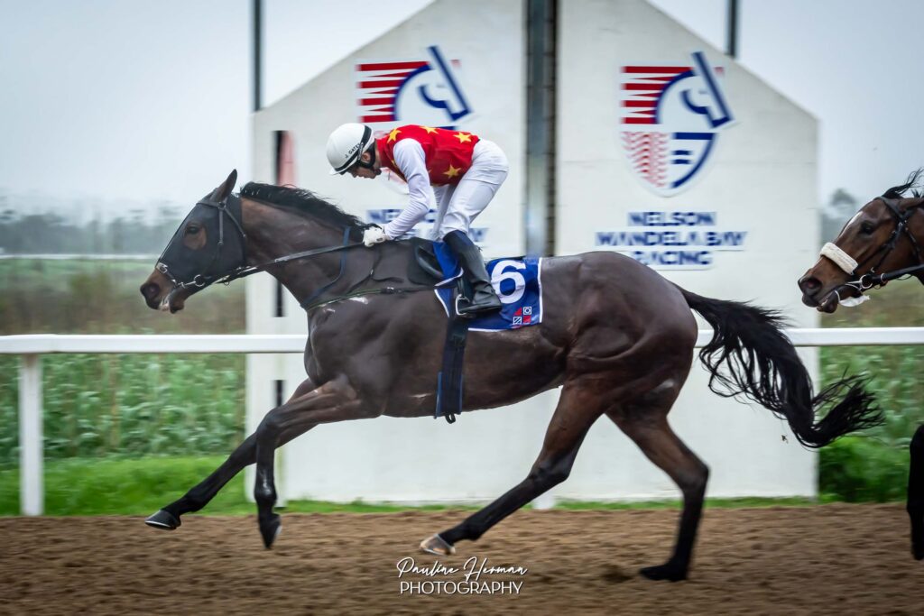 Gallic Tribe stands out at Fairview