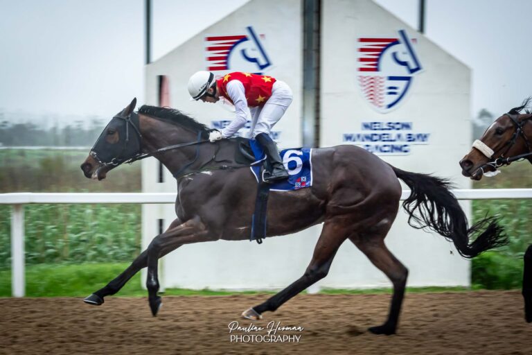 Gallic Tribe stands out at Fairview