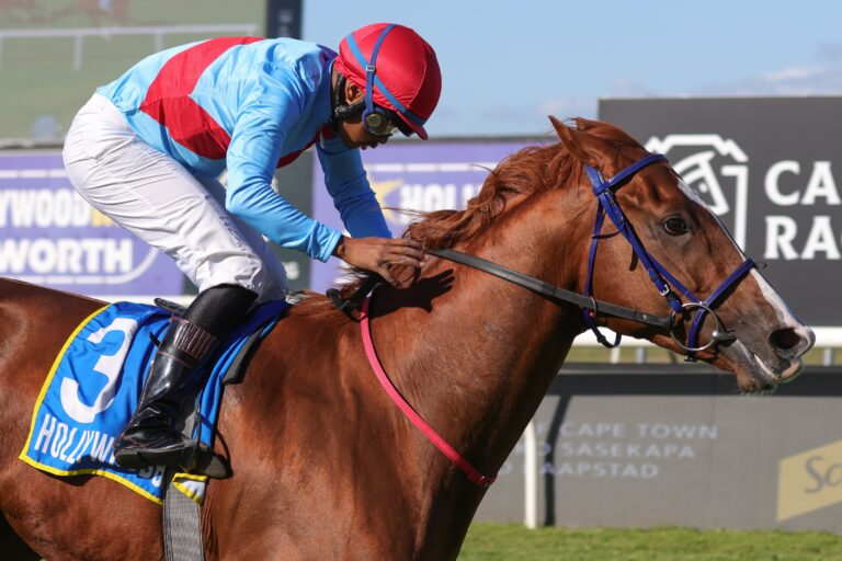 Gelded Garrix for Legal Eagle triumph