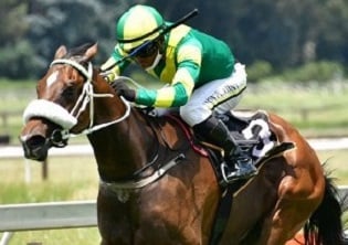 Gelded Platinum Sky ready to win