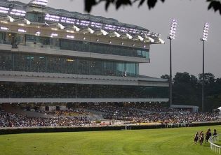 Ghalib for third successive Kranji win
