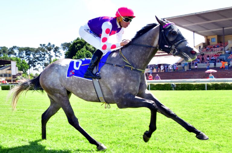 Gibson is the right guy at Fairview