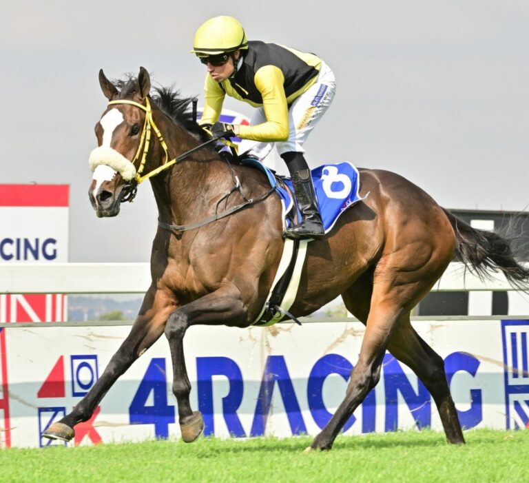 Gimme A Nother named Highveld Horse Of The Season