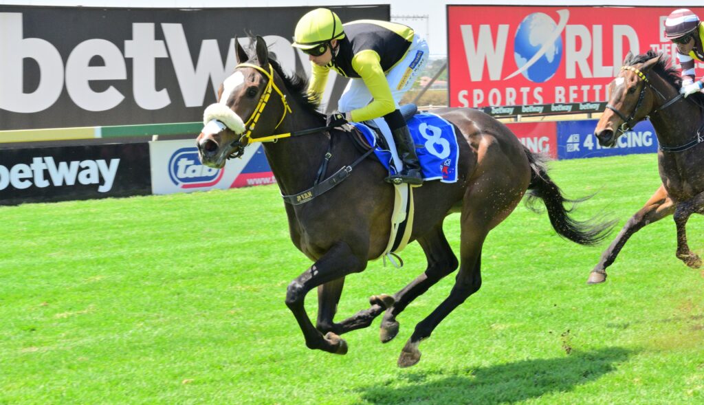 Gimme A Nother win at Turfffontein