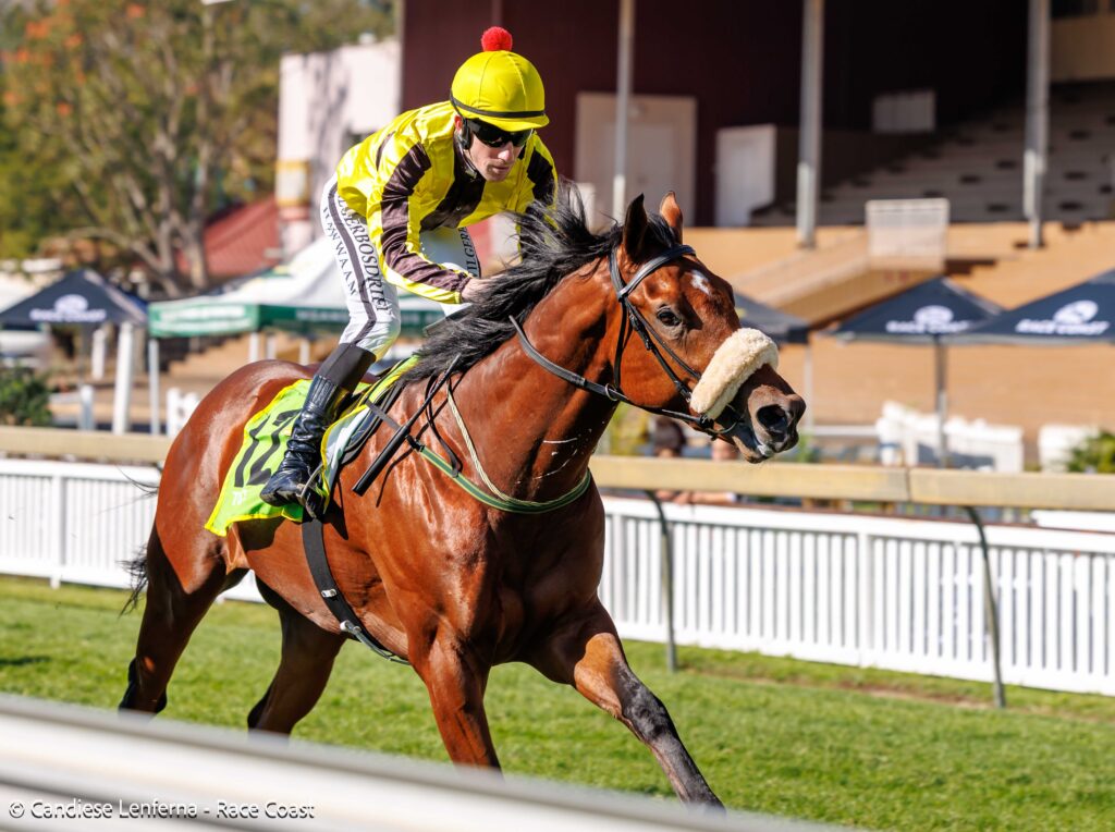 Gimmie Rules to stake Guineas claims